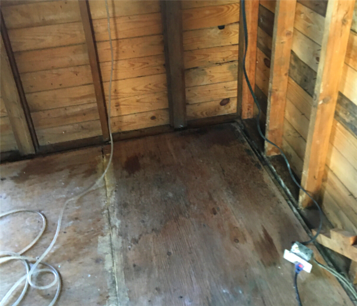 Mold removal near me in Madison, CT.