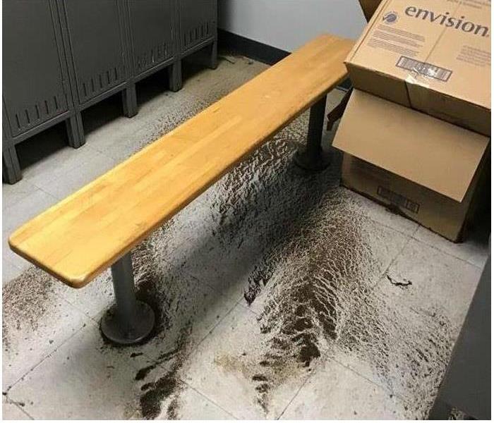 raw sewage on floor near bench and lockers