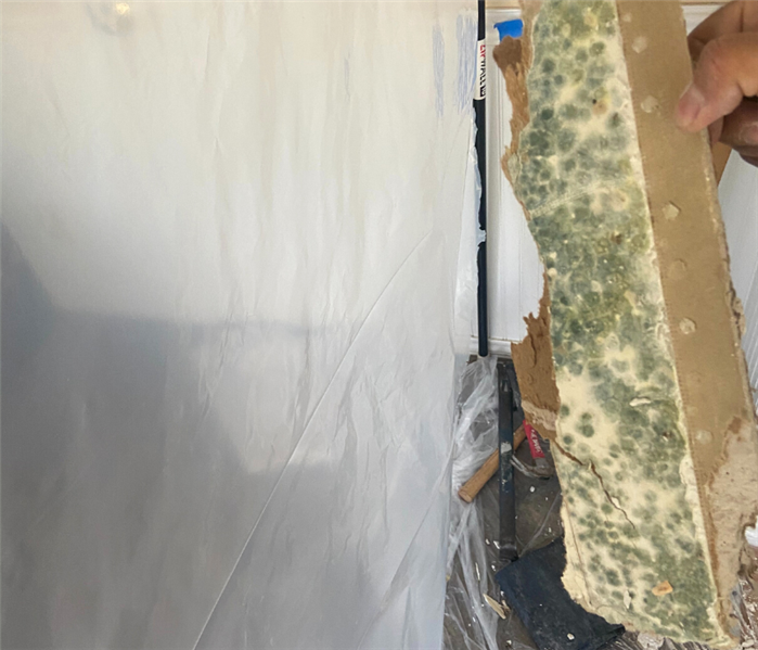 Mold removal in Old Lyme, Connecticut.