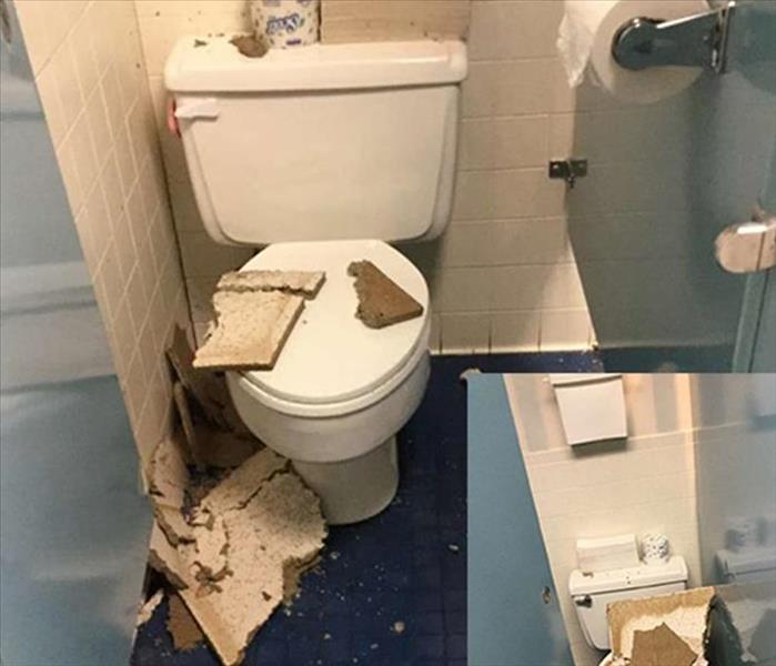 debris on toilet from storm