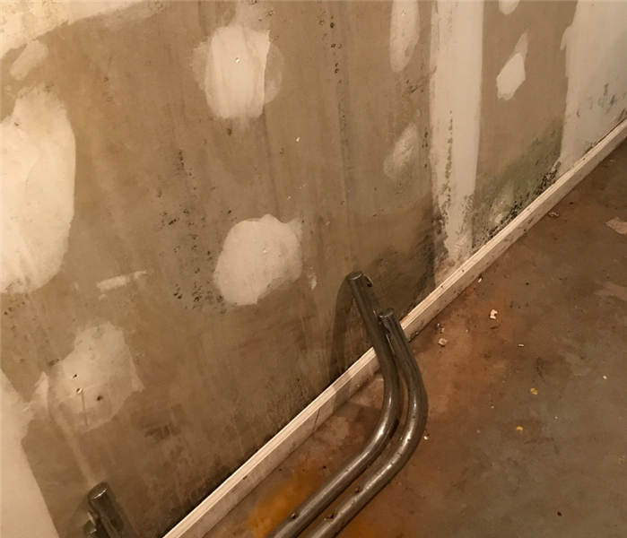 Mold removal near me in Centerbrook, CT.