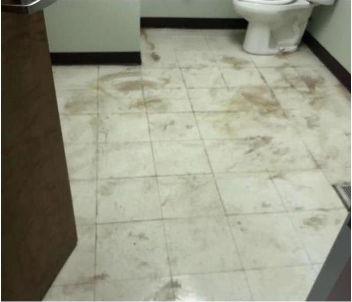 dirty bathroom floor covered in sewage