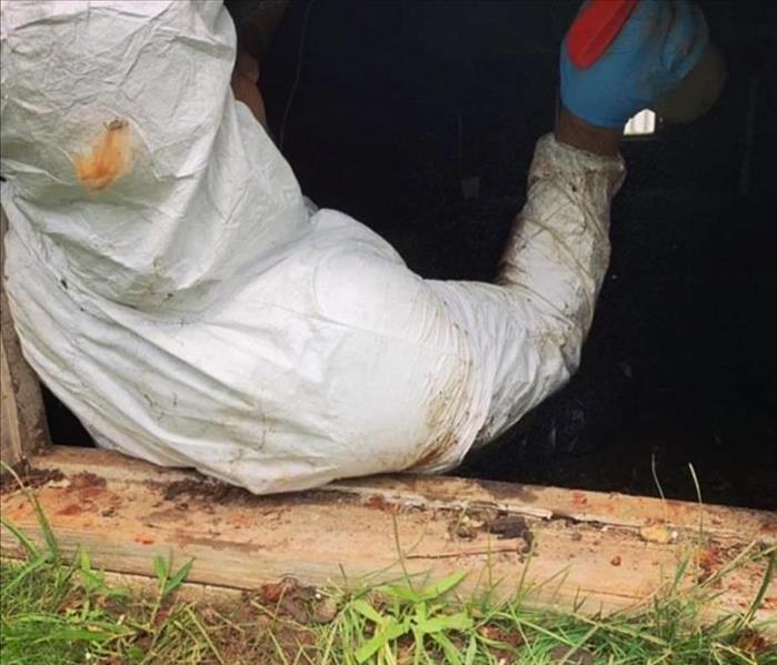 servpro employee crawling into a crawlspace