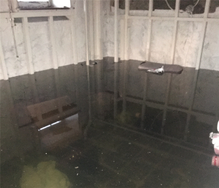 Water in Basement Cleanup Near Me in Clinton, CT