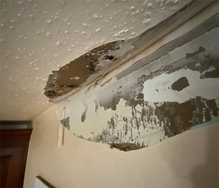 Ceiling Water Damage Repair Near Me in Essex, CT