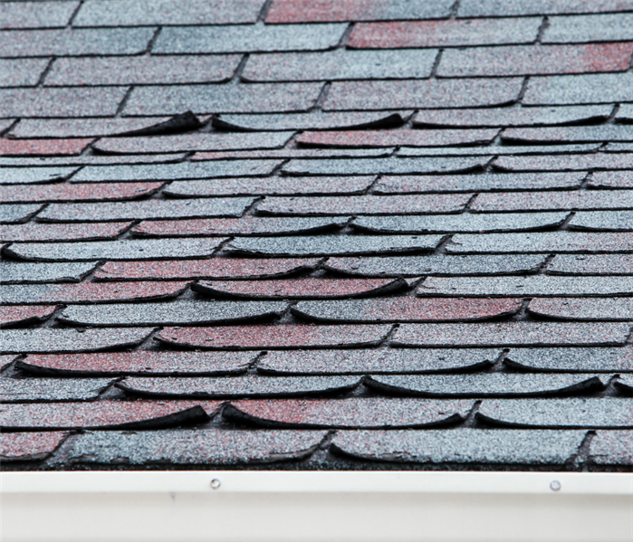 roof shingles lifting and curling due to wind damage to roof
